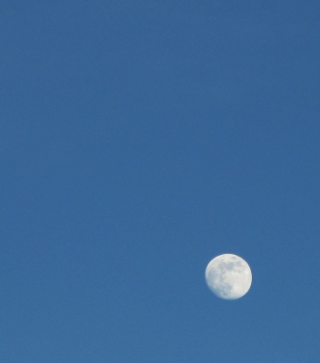 Der Mond am Himmel wacht