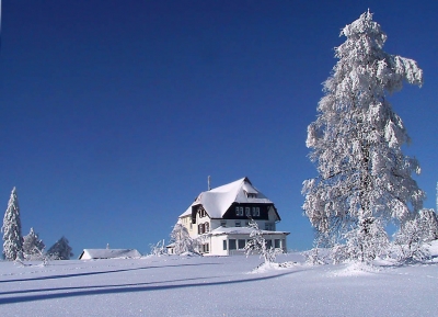 Schwarzwald-Winter