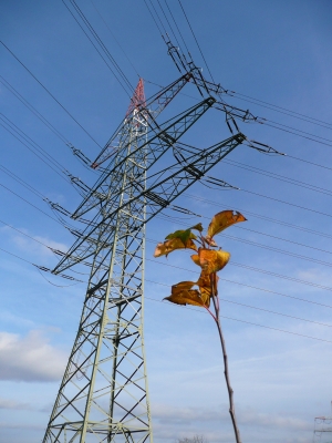 Natur und Technik