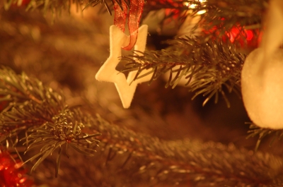 Ein Stoffstern am Tannebaum