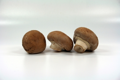 Champignons