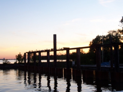 Die Elbe in Wedel (Hamburg) bei Sonnenuntergang