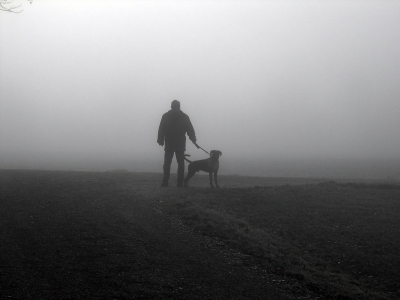 "Unheimliche Begnung 2"  Spaziergang im Nebel 10