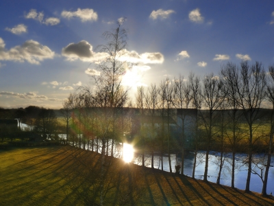 Schatten sucht Baum