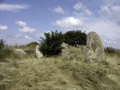Großsteingrab Nobbin auf Rügen