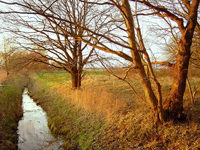 Widerschein der Abendsonne