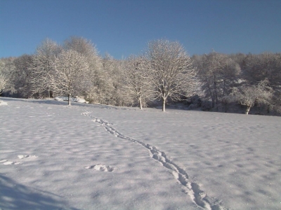 Winter im Bergischen Land