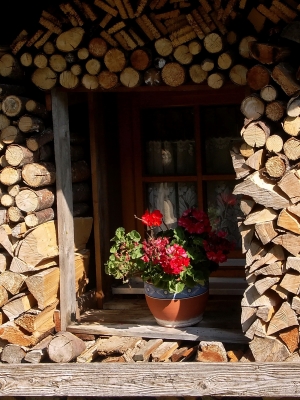 Holz vor der Hütte ;)