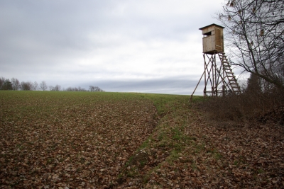 Unser Wald - Waldrand Hochsitz