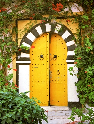Eingangstür eines Hauses in Sidi Bou Said