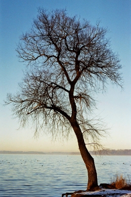 Chiemsee Winter