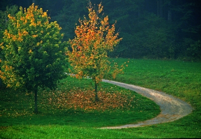Herbstkurve