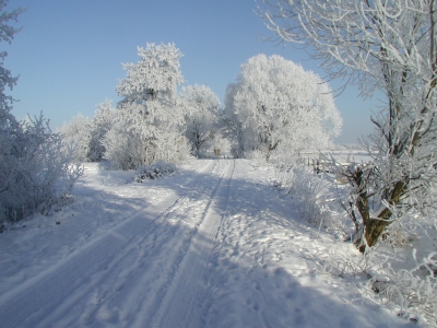 Winterlandschaft