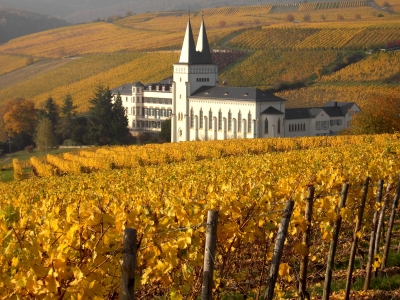 Kloster Johannisberg im Rheingau