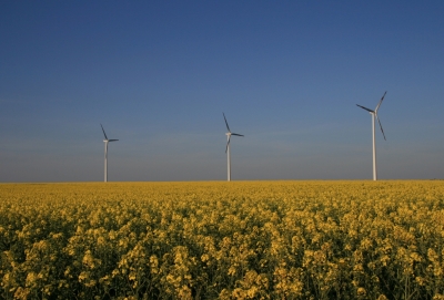 Windräder in Gelb