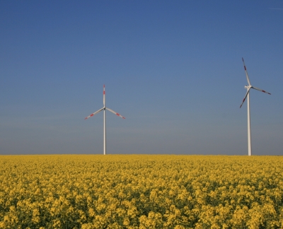 Windräder in Gelb 2