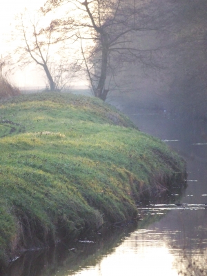 Kostenloses Foto Bachufer pixelio.de