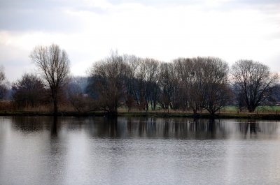 Frühlingserwachen am Teich