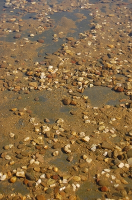 Textur Kieselsteine im Wasser