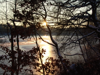 Winterliche Abendstimmung