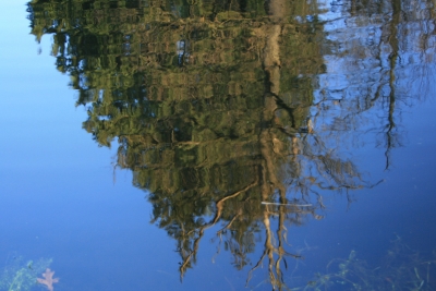 Spiegelung im See