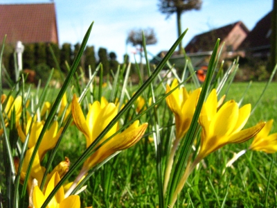 Ab in den Garten :-) -Die Sonne kommt!!!