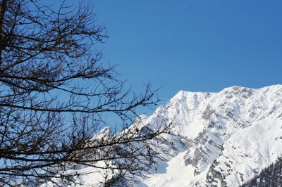 Berg gesichtet aus Bad Mitterndorf