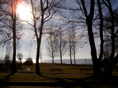 Romantischer Parkblick