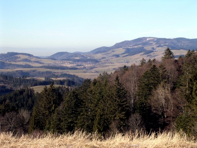 Schwarzwald Februar 2008