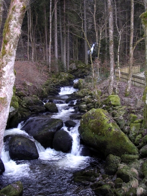 Wasserfall in Triberg