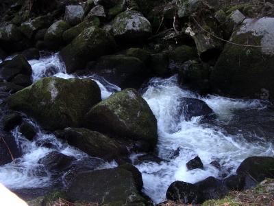 Wasser formt Stein