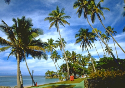 Urlaubsmorgen mit Palmen