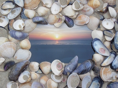 sonnenuntergang mit großem muschelrahmen