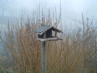 Nebel ums Vogelhaus