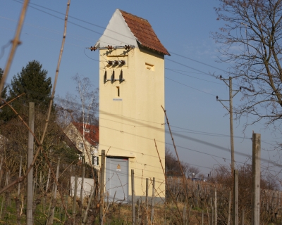 Yellow Strom in den Weinbergen