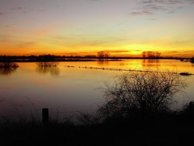 Abendsonne über dem Hochwasser 3