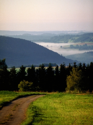 Fernblick Schwarzwald