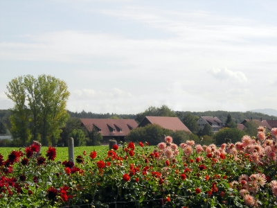 Tachenhäuser Hof Herbst 2007