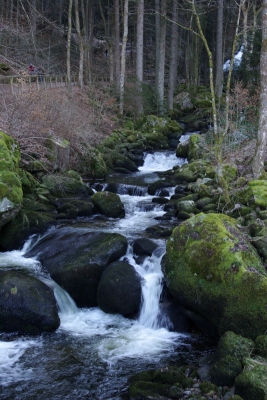 Triberg - Wasserfallauslauf 2