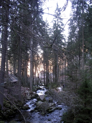 Wasserfallausläufer Gegenlicht