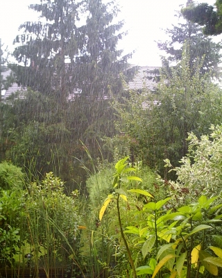 Sommerregen in Heßdorf