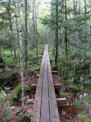 Laufsteg durch die Wildnis des Kejimkujik National Parks in Nova Scotia