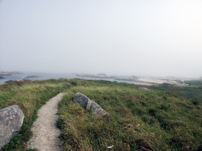 Nebel kommt von See -Ostküste Nova Scotia-