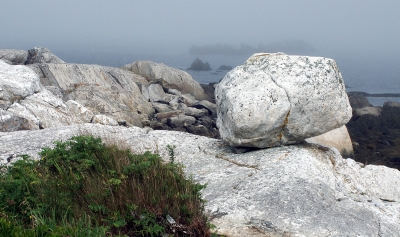 Nebel kommt von See II -Ostküste Nova Scotia-