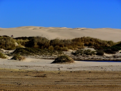 Pismo Beach Dunes