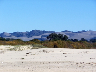 PismoBeach Dunes 1