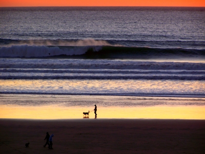 Mann, Hund, Meer