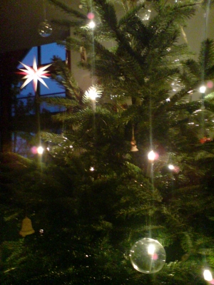 Weihnachtsbaum2007