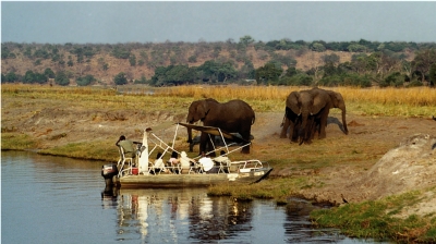 Auf Safari mit dem Boot