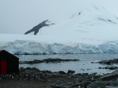 Antarktis 61